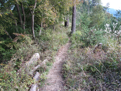 20161104hike (184)